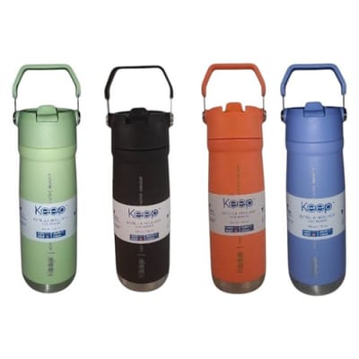 BOTELLA INSULADA CON MANGO 650ML