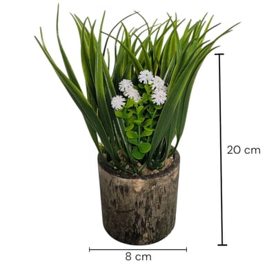 MACETA CON PLANTA DECORATIVA