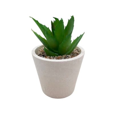 PLANTA PLASTICA
