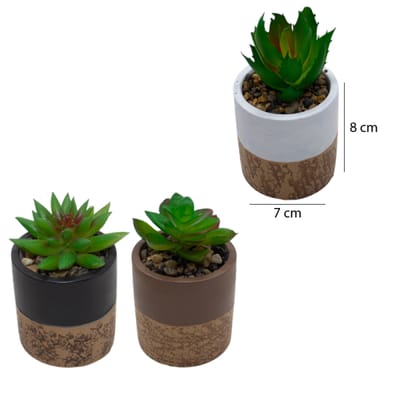 MACETA BASE SIMIL CORCHO C/PLANTA