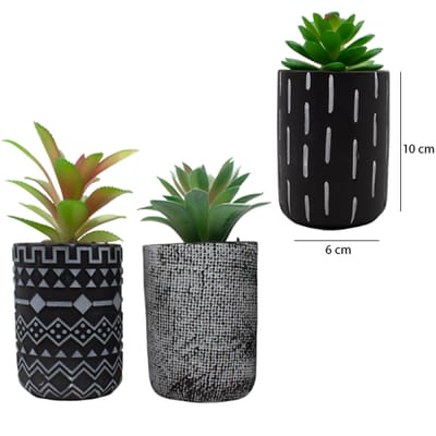 MACETA DE CERAMICA C/PLANTA